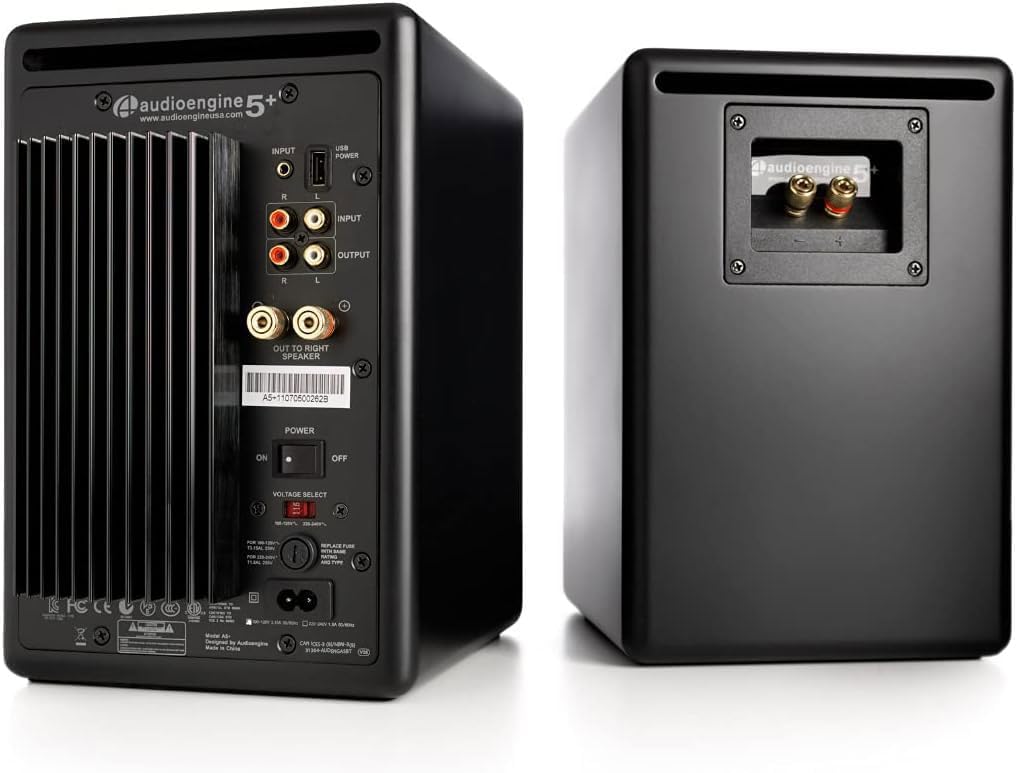 Audioengine A5+ filaire connectique arrière — entrées RCA, jack, sortie sub, USB