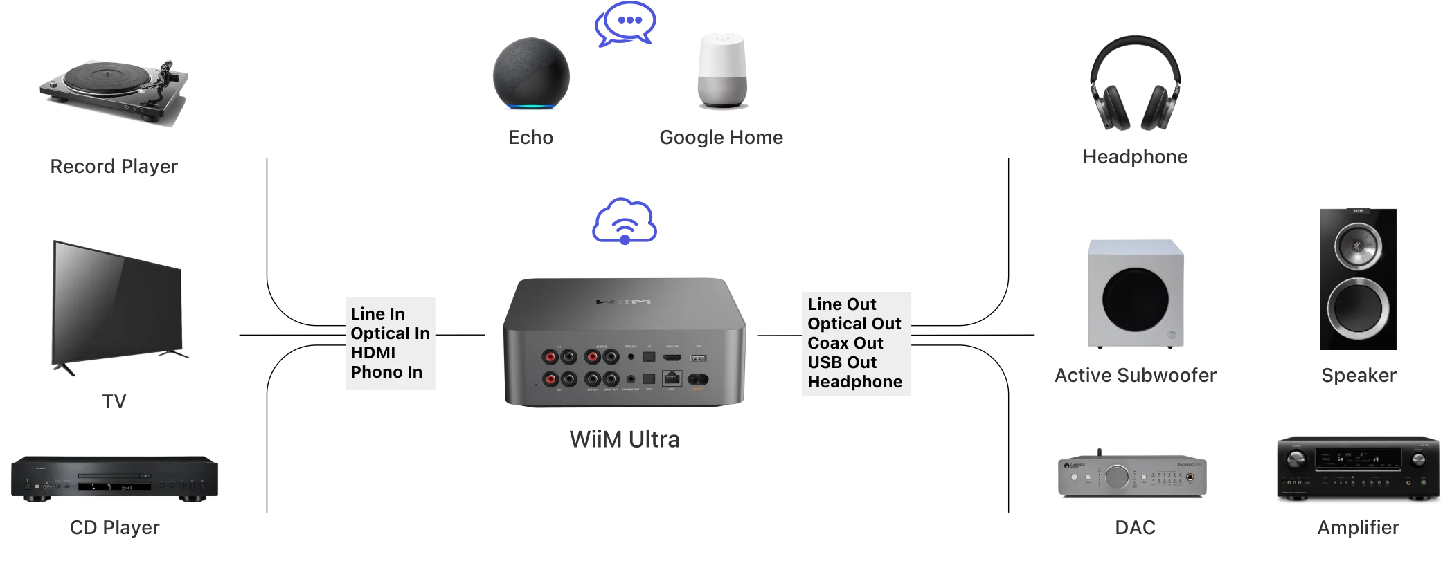 Connectique du WiiM Ultra — sorties XLR, RCA, HDMI ARC, optique