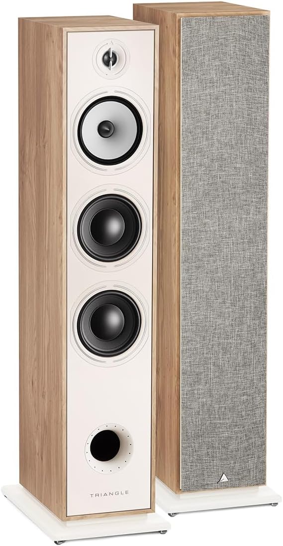 Triangle Borea BR08 enceinte colonne test avis 2026