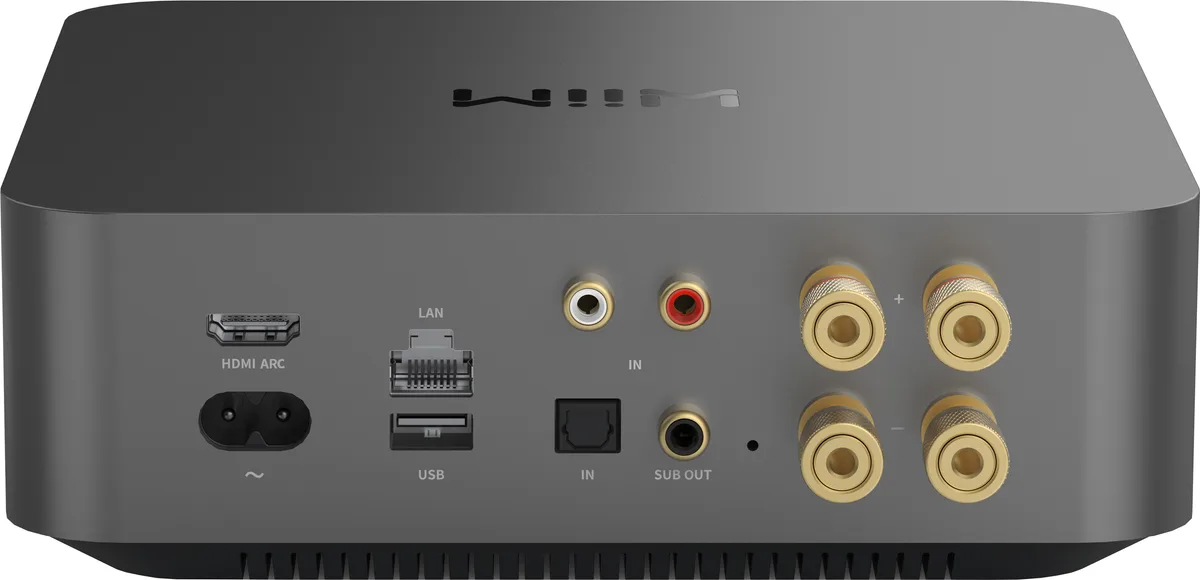 WiiM Amp Pro connectique arri&egrave;re &mdash; HDMI ARC, optique, RCA, USB, borniers HP