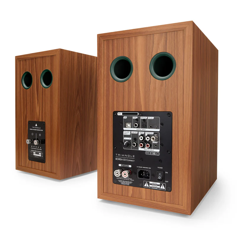 Triangle Borea BR03 Connect — vue arrière connectique complète : HDMI ARC, USB-B, optique, coaxial, RCA phono, sortie sub